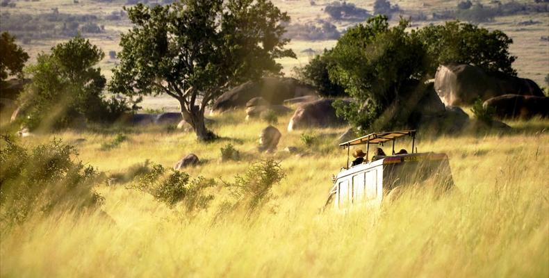 Game Drive
