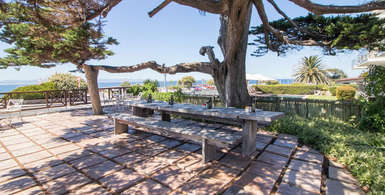 A relaxing quiet space to have a meal