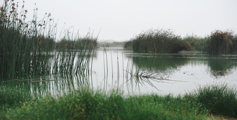 Huarusib River 