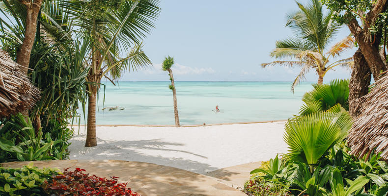 Ocean view + tropical garden