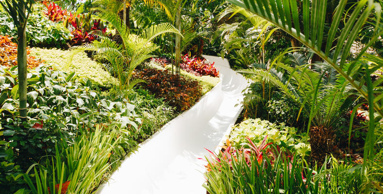 Waterslides