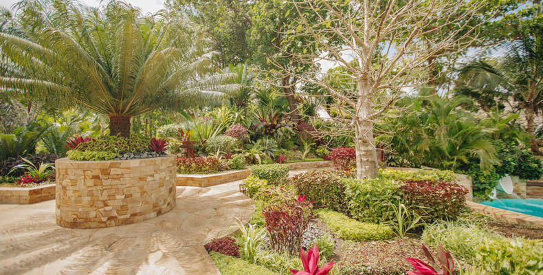 Tropical garden