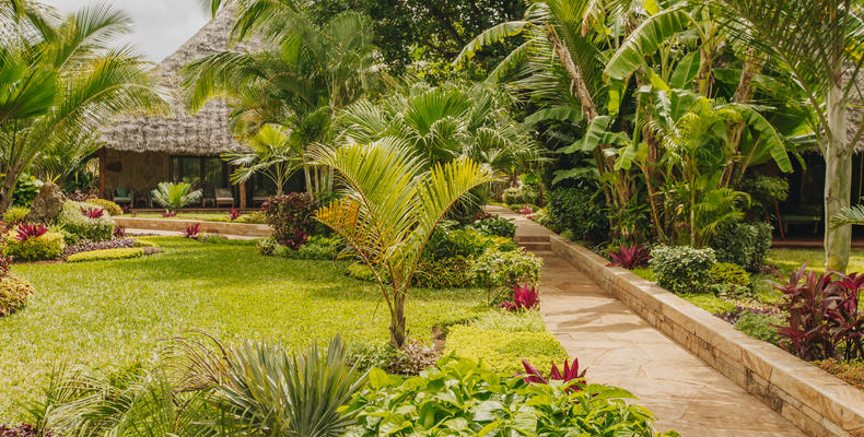 Deluxe Garden Bungalow