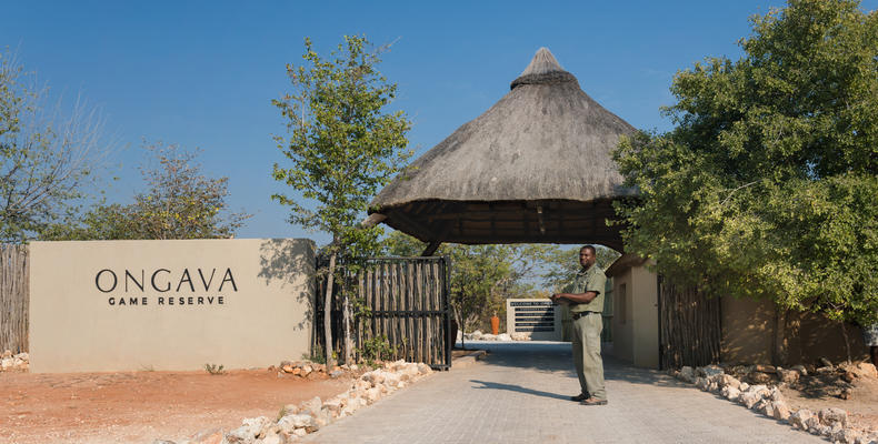 Ongava Game Reserve 