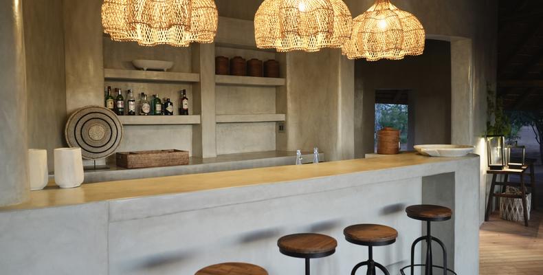 Encounter by Ongava Main Area