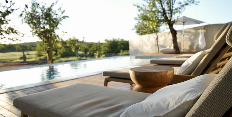 Encounter by Ongava Pool