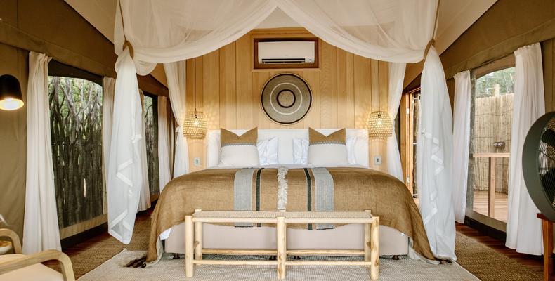 Encounter by Ongava Guest Tent