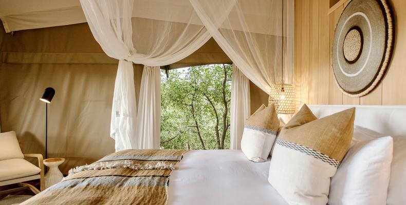 Encounter by Ongava Guest Tent