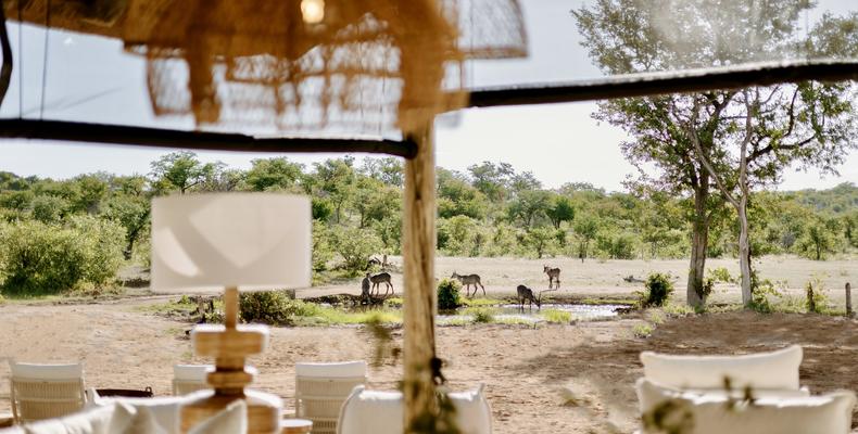 Encounter by Ongava scene