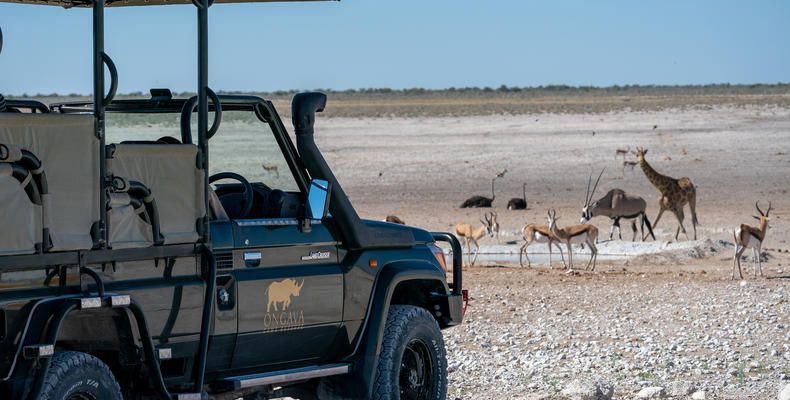 Etosha National Park 