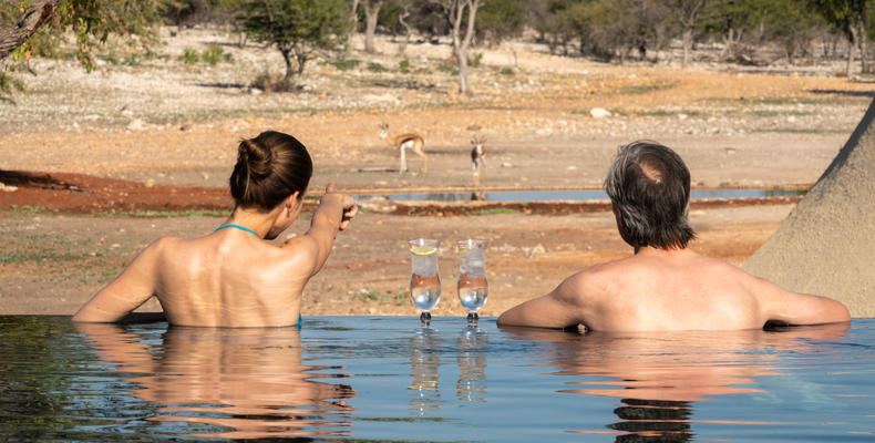 Anderssons at Ongava