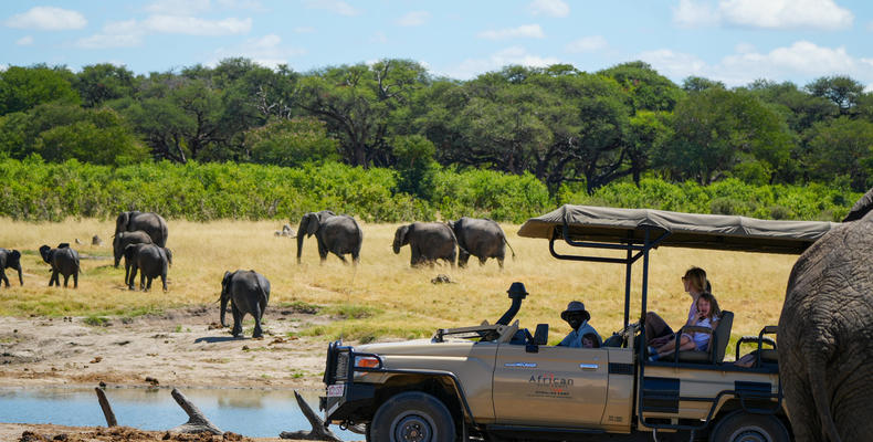 Somalisa Expeditions Game Drive