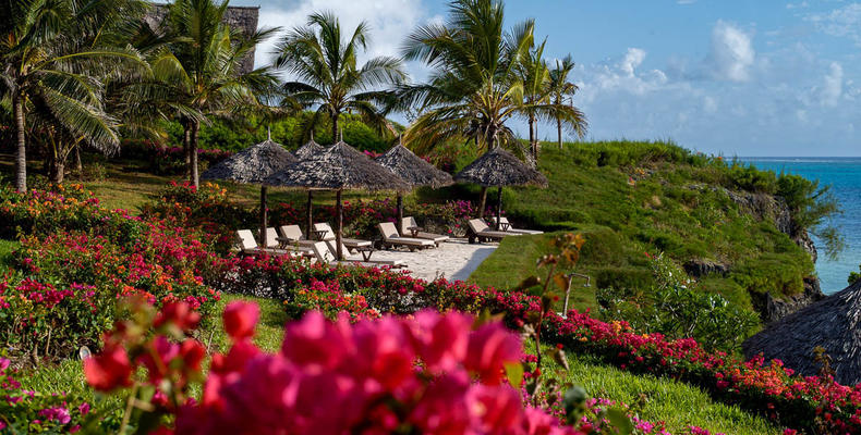 Zawadi tropical gardens
