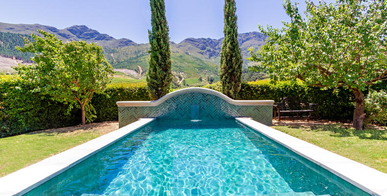 Vineyard Suite 3 Pool