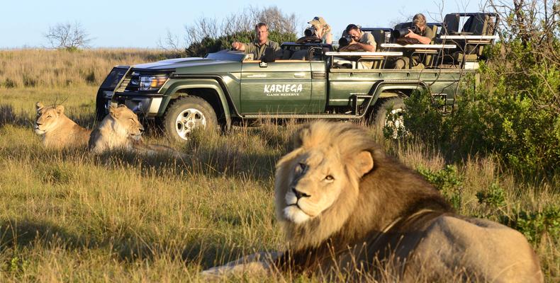 Kariega Game Reserve - Game Activities & Wildlife