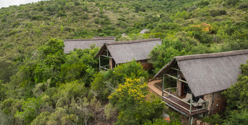 Lalibela Wildlife Reserve - Lentaba