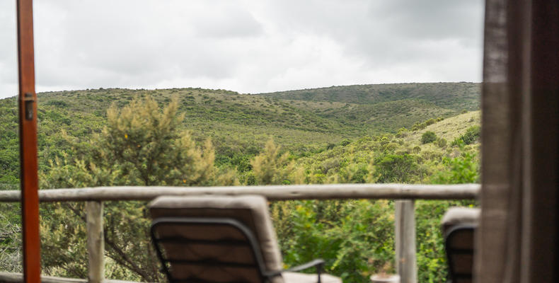 Lalibela Wildlife Reserve - Lentaba
