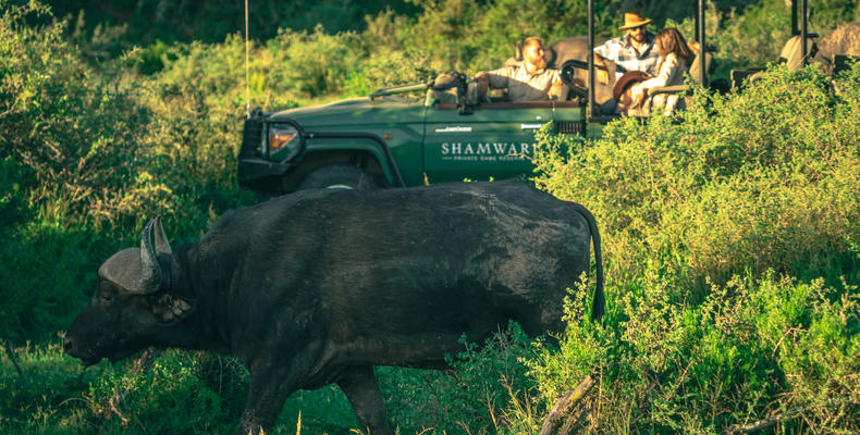 Shamwari Private Game Reserve