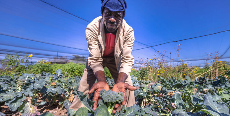 Mushara Lodge - Vegetable Garden