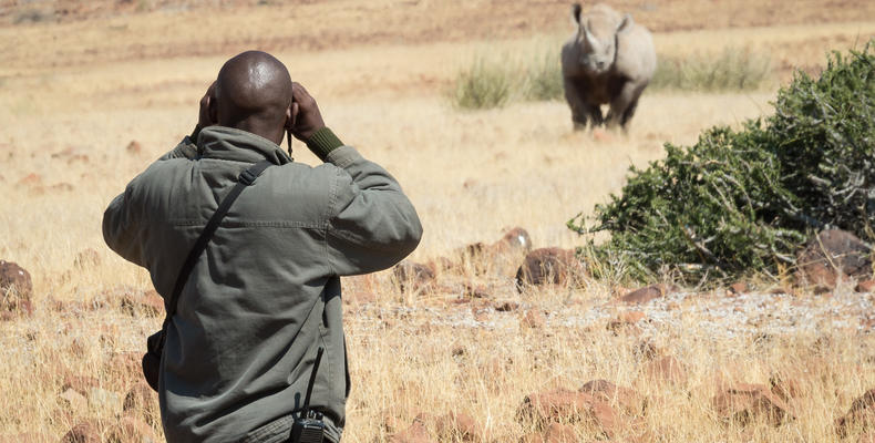 Wilderness Desert Rhino Camp