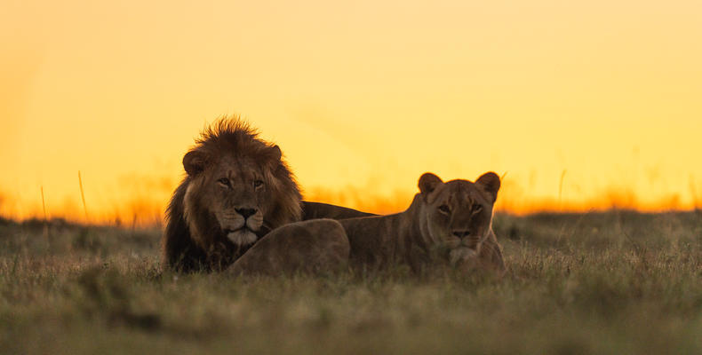 Lalibela Wildlife Reserve 