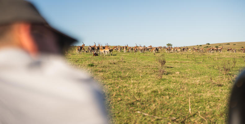 Lalibela Wildlife Reserve 