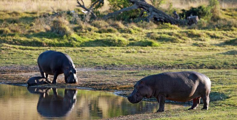 Lalibela Game Reserve