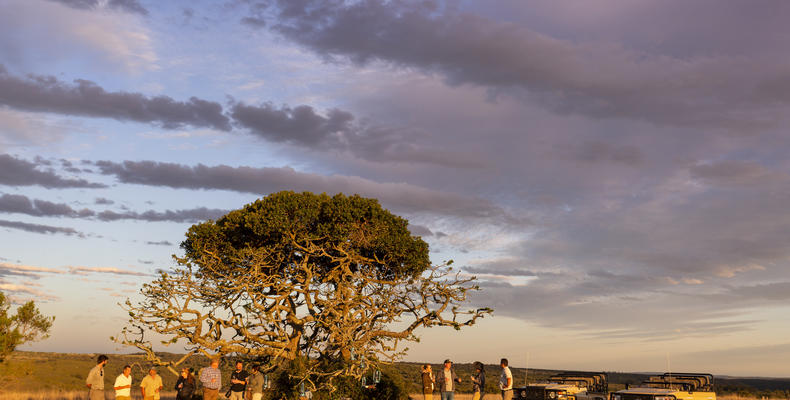 Lalibela Game Reserve - Kichaka Lodge 