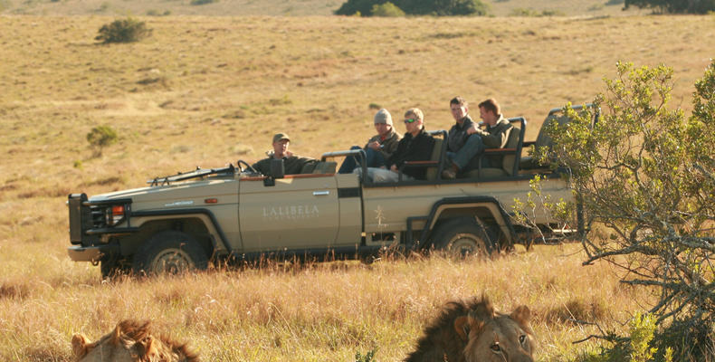 Lalibela Game Reserve 