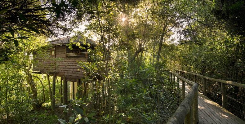 Tsala Treetop Lodge Suite Exterior 