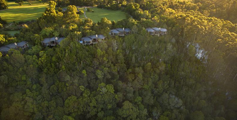 Tsala Treetop Lodge Aerial View 