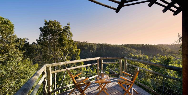 Tsala Treetop Lodge Suite View