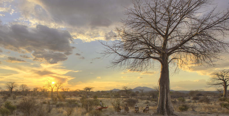 Jabali Ridge - Drinks at Sunset in Baobab Forest 