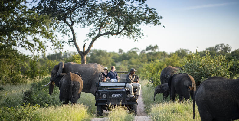 Simbavati Machaton Camp - Safari