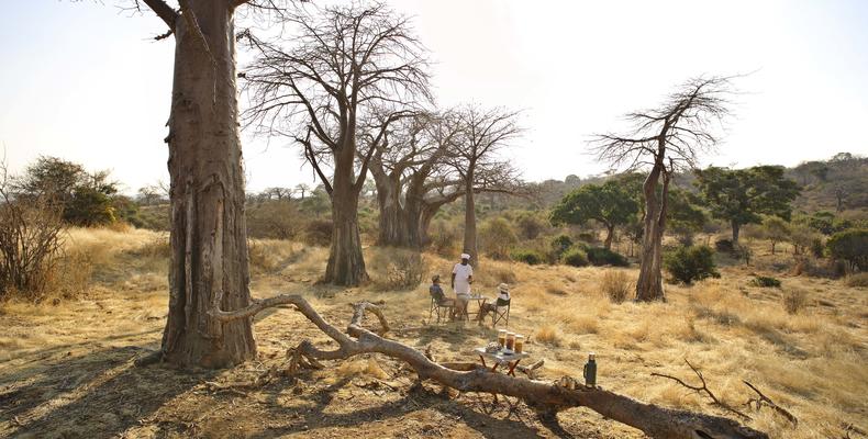 Baobabs & bush breakfast