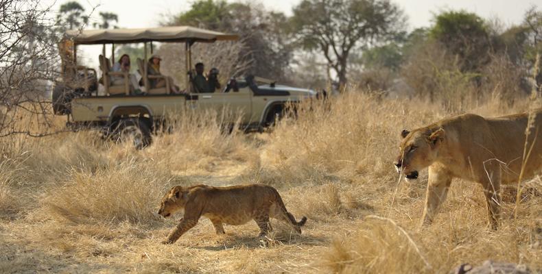 Game viewing