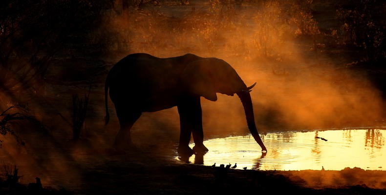Skybeds in Khwai Private Reserve, Northern Botswana 