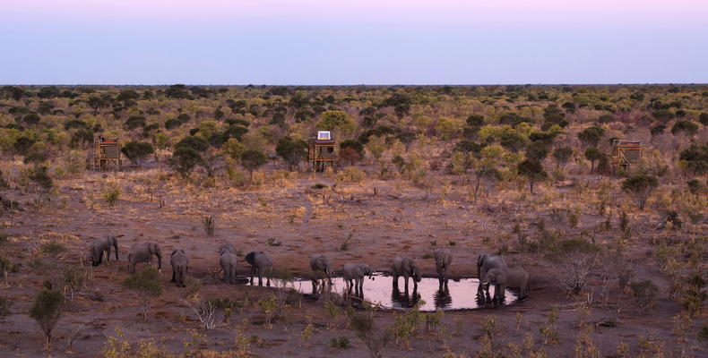 Skybeds in Khwai Private Reserve, Northern Botswana 