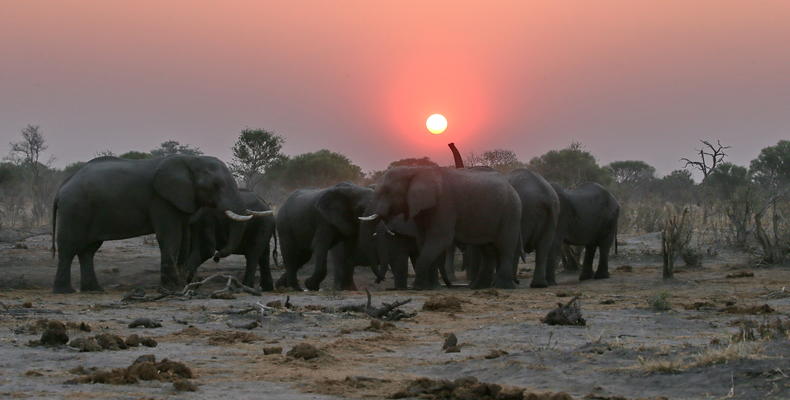 Skybeds in Khwai Private Reserve, Northern Botswana 