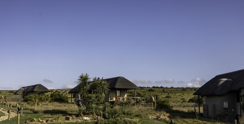 Hlosi Game Lodge - Family Tents 