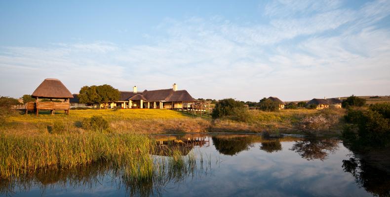 Hlosi Game Lodge - View From Waterhole