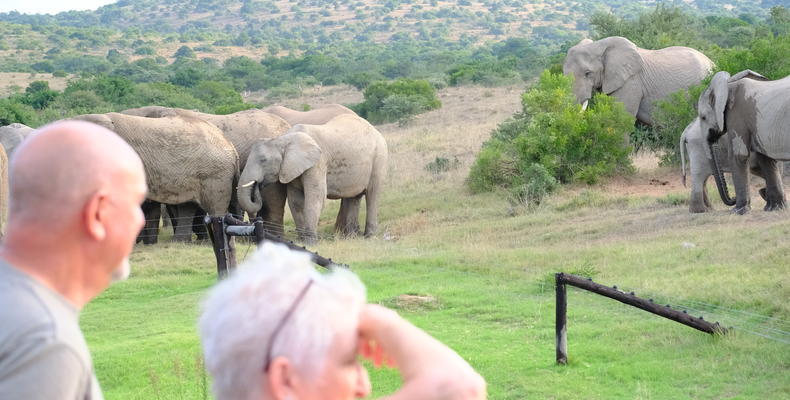 Hlosi Game Lodge 