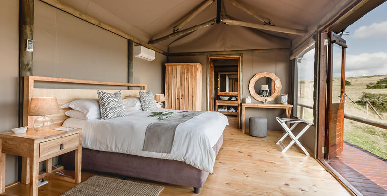 Hlosi Game Lodge - Safari Tent 