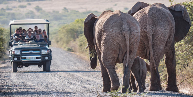 Hlosi Game Lodge 