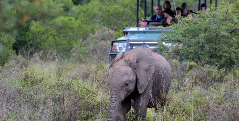 Hlosi Game Lodge 