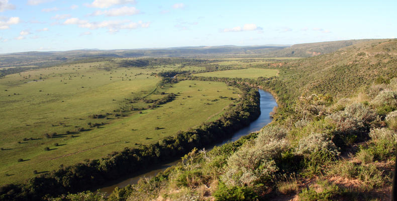 Amakhala Game Reserve 