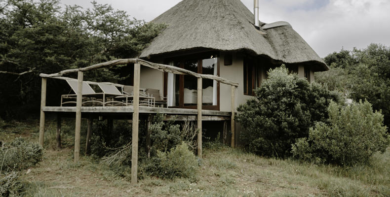 Bukela Game Lodge - Luxury Suite 