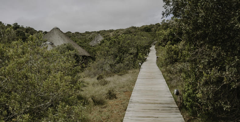 Bukela Game Lodge - Walkway 