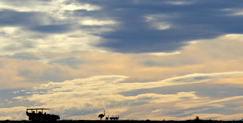 Bukela Game Lodge