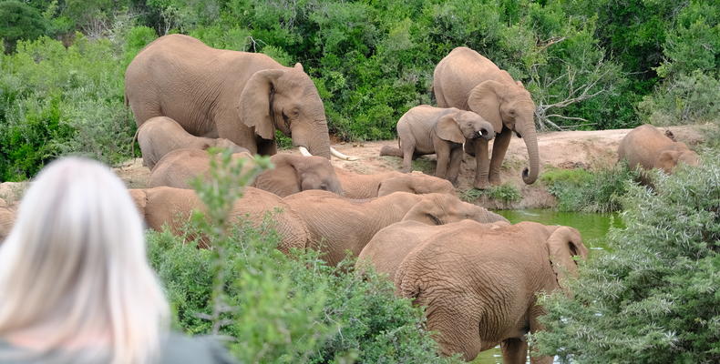 Bukela Game Lodge